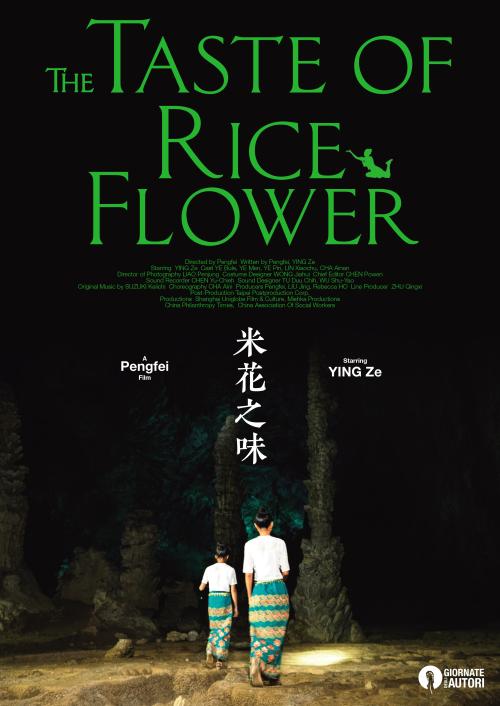 办假的厄立特里亚护照